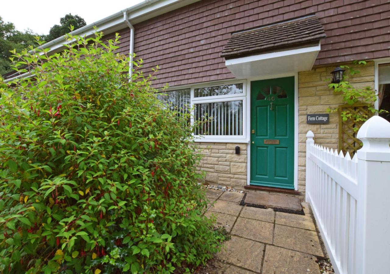 Fern Cottage شارموث المظهر الخارجي الصورة